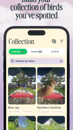 Birdbuddy: ID & Collect Birds screenshot