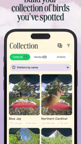 Birdbuddy: ID & Collect Birds screenshot