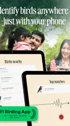 Birdbuddy: ID & Collect Birds screenshot