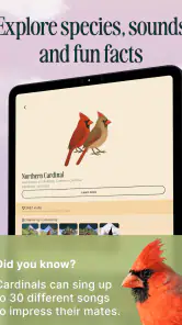 Birdbuddy: ID & Collect Birds screenshot