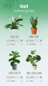 Blossom - Plant Identifier screenshot