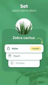 Blossom - Plant Identifier screenshot