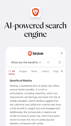 Brave Private Web Browser, VPN screenshot