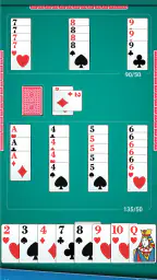 Canasta Card Game screenshot