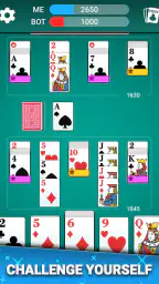 Canasta Card Game screenshot