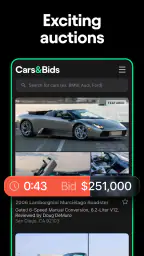 Cars & Bids screenshot