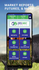 Cattle Market Mobile screenshot