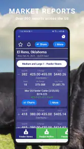 Cattle Market Mobile screenshot