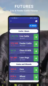 Cattle Market Mobile screenshot