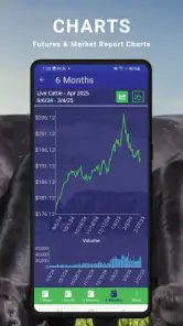 Cattle Market Mobile screenshot