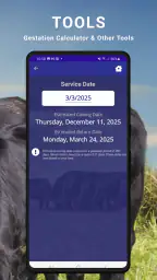 Cattle Market Mobile screenshot