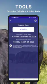 Cattle Market Mobile screenshot