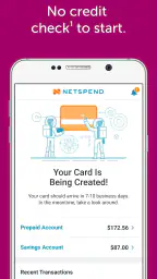 Netspend screenshot