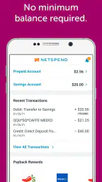 Netspend screenshot