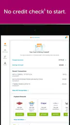 Netspend screenshot