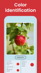 Color Identification screenshot