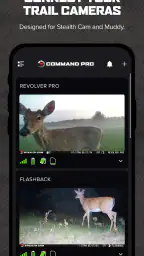 Command screenshot