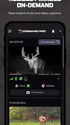Command screenshot