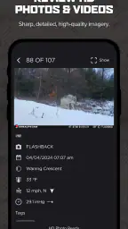 Command screenshot