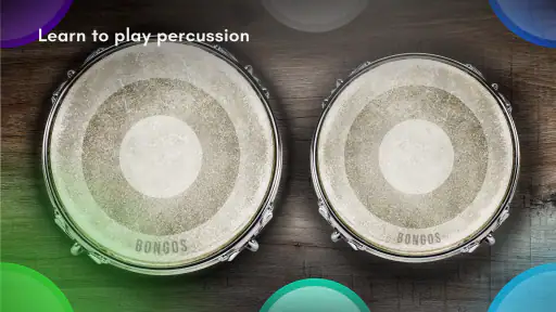 Congas & Bongos: percussions screenshot