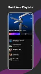 CrispTone: Offline Music screenshot