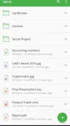 Cryptomator screenshot