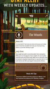Dad Pregnancy Guide: Daddy Up screenshot