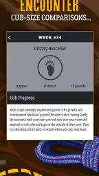 Dad Pregnancy Guide: Daddy Up screenshot