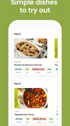 DASH Diet Meal Planner screenshot