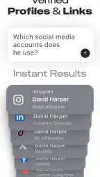 Deepsearch AI Search Assistant screenshot