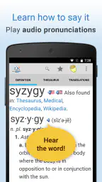 Dictionary Pro screenshot