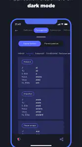Dictionnaire Larousse français screenshot