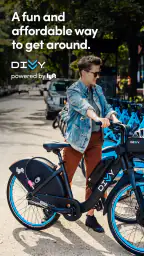 Divvy screenshot