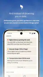 Dollarwise: Budget & Tracking screenshot
