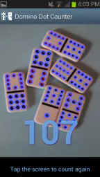 Domino Dot Counter screenshot