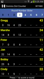 Domino Dot Counter screenshot