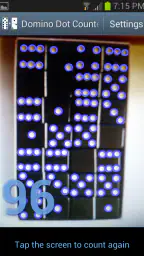 Domino Dot Counter screenshot