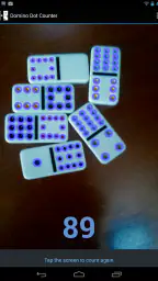 Domino Dot Counter screenshot