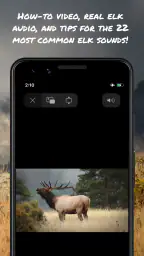 ElkNut screenshot