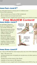 EMRA MobilEM screenshot