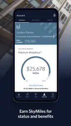 Fly Delta screenshot
