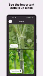 Gather: The Foraging App screenshot