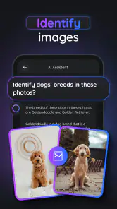 Gemmy AI: Chat & Assistant screenshot