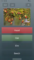 General Knowledge Quiz screenshot