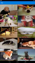 GIF Keyboard by Tenor screenshot