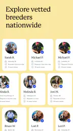 Good Dog: Find Your Puppy screenshot