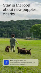 Good Dog: Find Your Puppy screenshot
