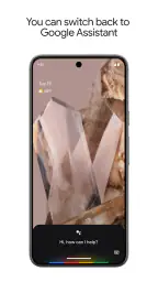 Google Assistant screenshot