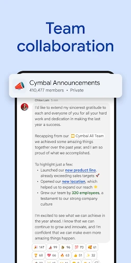 Google Chat screenshot