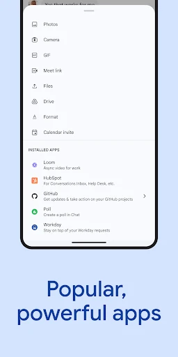 Google Chat screenshot